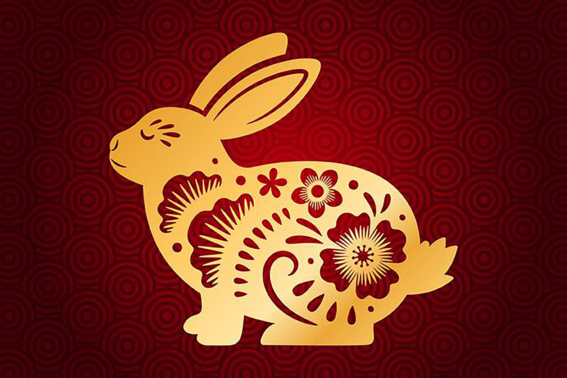 HCHSAA Marks Lunar New Year, the Year of the Rabbit!