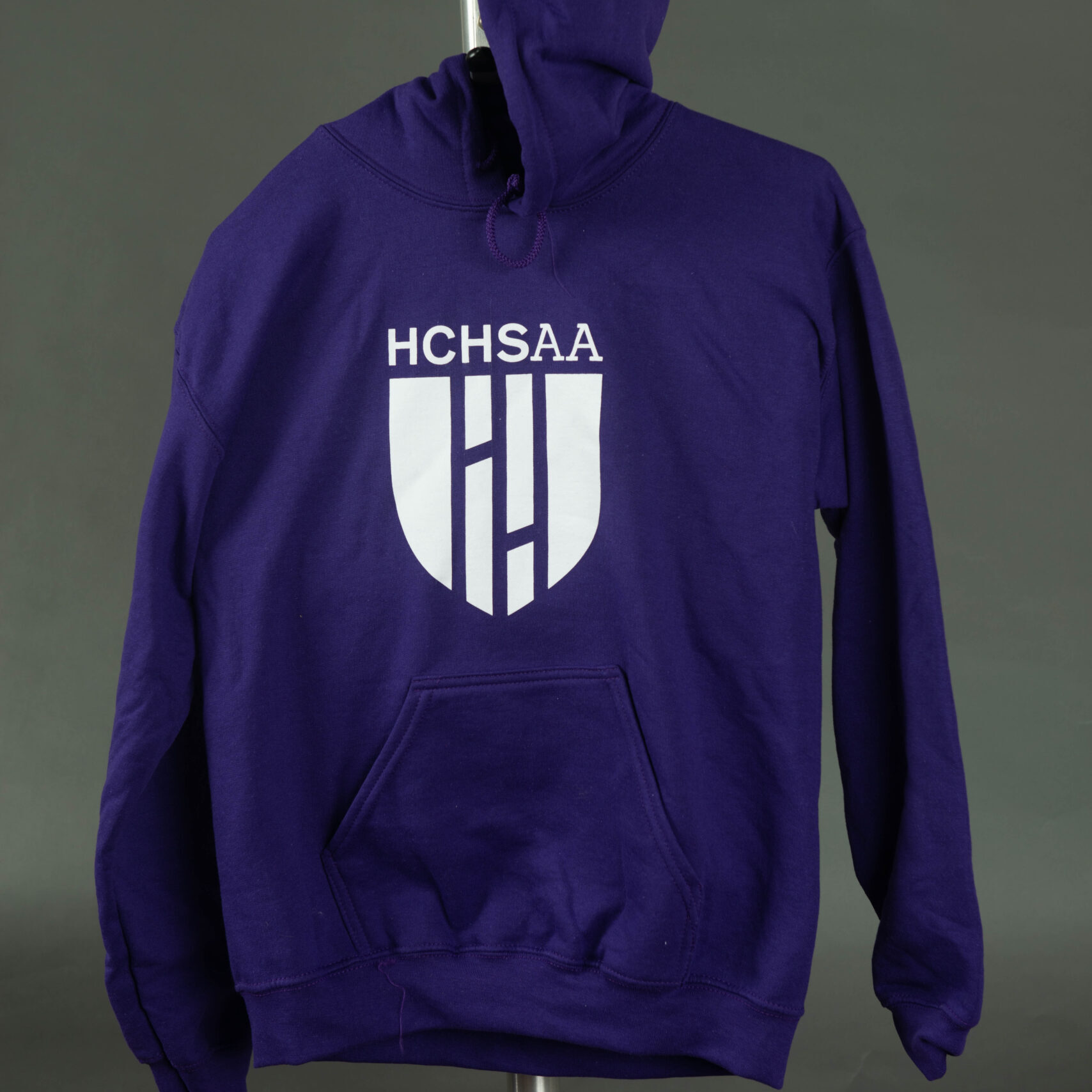 Big Logo Hoodie - Hunter College High School Alumnae/i Association